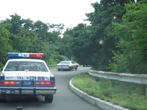 1991 Ford LTD Crown Victoria - Driver's-view past a white cruiser lettered TEL. 239-1616 with roof lights toward another police car on a tree-lined curving road.