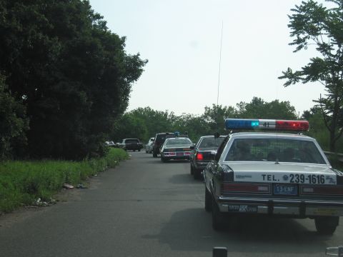 1991 Ford LTD Crown Victoria - line of parked and idling police cars along a roadside, the nearest a white cruiser lettered TEL. 239-1616 with lit roof lights.