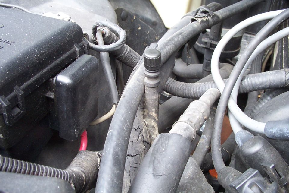 Close-up of engine bay showing various hoses, wires, and a black fuse box