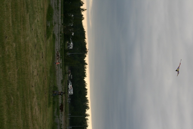 Kite flying in a cloudy sky over a grassy field and trees