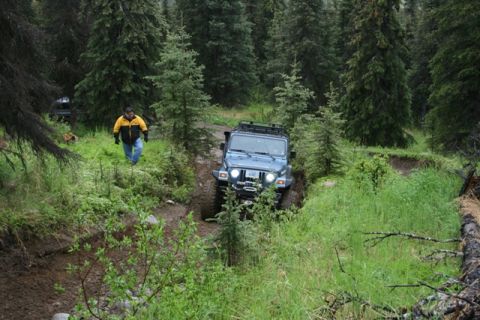 1990 Chevrolet Suburban - A blue Jeep Wrangler is navigating a muddy, overgrown trail surrounded by tall pine trees. A person in a yellow and black jacket walks on t…