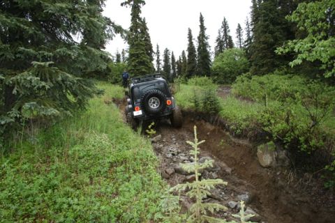 1990 Chevrolet Suburban - A dark-colored Jeep Wrangler is navigating a steep, rocky, and muddy off-road trail surrounded by dense green foliage and tall evergreen tr…