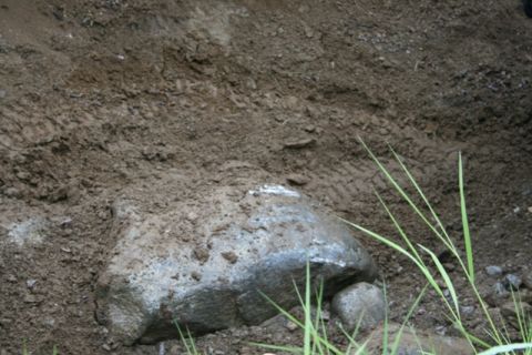 1990 Chevrolet Suburban - A large rock is partially embedded in disturbed soil. Tire tracks are visible in the dirt behind the rock, and blades of grass are growing…