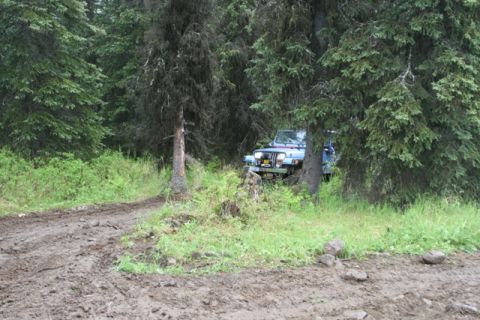 1990 Chevrolet Suburban - A blue Jeep Wrangler is parked on a muddy trail in a dense forest. The vehicle is partially obscured by evergreen trees.