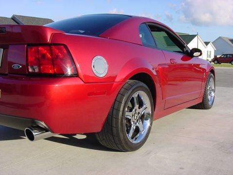 1998 Ford Crown Victoria - Close rear quarter view of a red Ford Mustang Cobra showing taillight and chrome wheel.