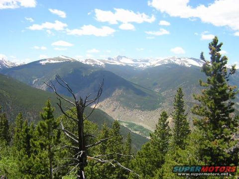 1995 Ford Bronco - A scenic view of a mountain range with a valley below, framed by pine trees and a dead tree.