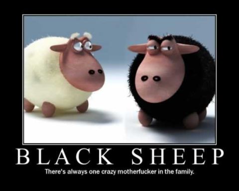 2006 Ford E350 - Black sheep