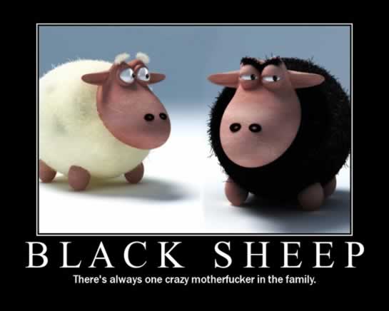 Motivational-poster meme with two cartoon sheep, one white one black