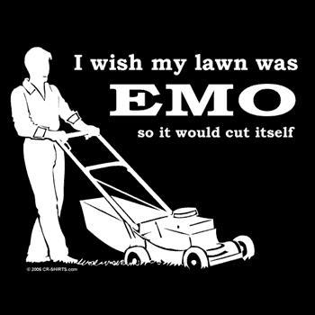 2006 Ford E350 - Emo lawn