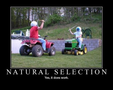 2006 Ford E350 - Natural selection is a good idea