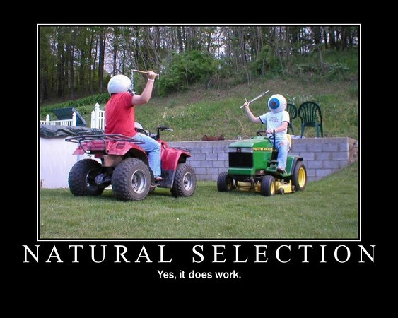 Natural selection is a good idea