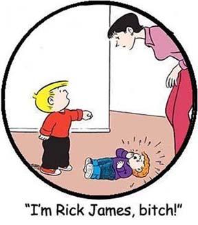 2006 Ford E350 - I'm Rick James...