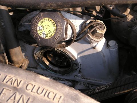 1988 Ford F-250 - Timing of Injector Pump for Diesel. The stud is at 4 O'clock. Firing injector #1