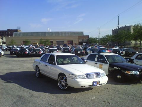 2003 Ford Crown Victoria - A fleet of Ford Crown Victorias, including police cruisers and civilian models, are parked in a lot under a clear sky.
