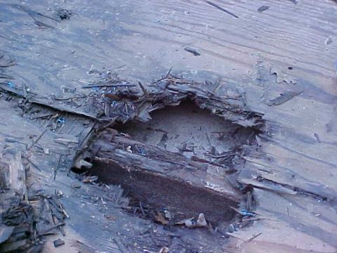 1987 Ford Bronco - A close-up view of a heavily damaged wooden structure, showing splintered wood and debris scattered across the surface.