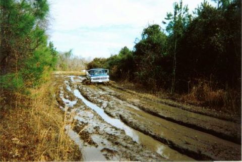 1994 Ford Bronco photo
