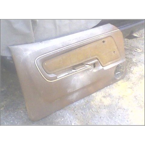 1973 Ford Ranchero - This is a door panel, not a full vehicle.