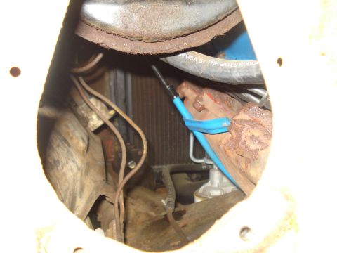 1967 Ford F-250 - Close-up view of an engine bay component, a Gates rubber hose.