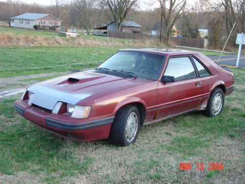 1984 Ford Mustang - This 1984 Ford Mustang is shown from a 3/4 front angle, parked on a grassy area with houses in the background.