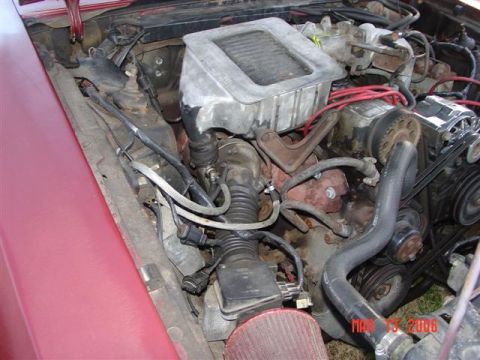 1984 Ford Mustang - The engine bay of a 1984 Ford Mustang, showing the engine and surrounding components.