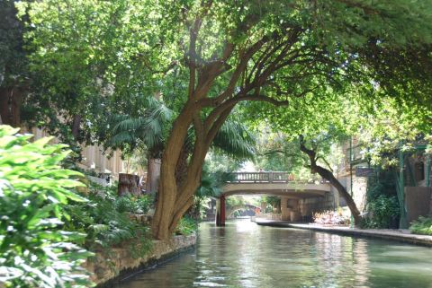 1996 Ford Bronco - A scenic view of a river flowing under a bridge, surrounded by abundant greenery.