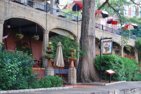 1996 Ford Bronco - Exterior view of Cafe Ole with a prominent tree and outdoor seating area.