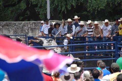 1996 Ford Bronco - A rodeo event is underway with a bull in the chute and onlookers in the stands.