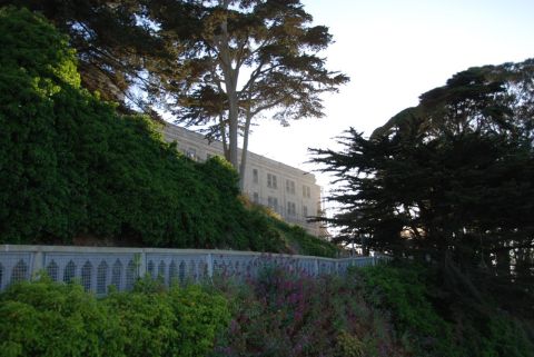 1996 Ford Bronco - A building is visible behind a lush green slope and trees, with a decorative fence in the mid-ground.
