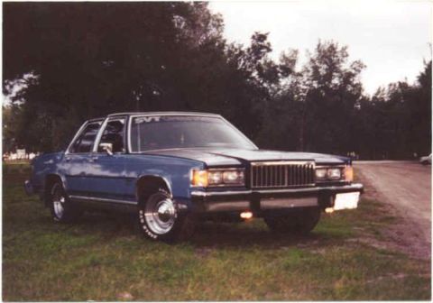 1994 Ford F-250 - This blue sedan, possibly from the 1980s, is parked on a grassy area next to a dirt road.