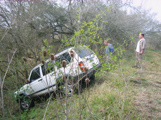1996 Ford Explorer - SUV off-road and stuck in bushes, two men watch from the side.