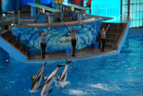 1996 Ford Bronco - Dolphins perform at SeaWorld with trainers on stage behind them.