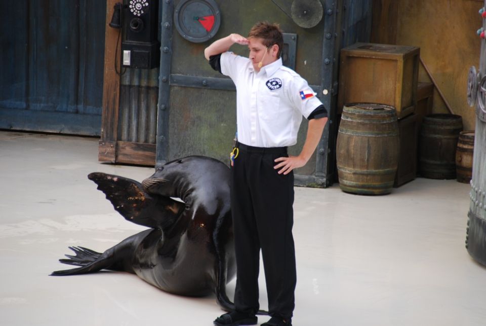 Seal and trainer on stage