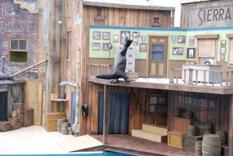 1996 Ford Bronco - A sea lion performs on a stage designed to look like a western town street.