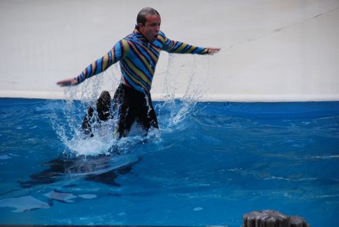 1996 Ford Bronco - Man in a striped wetsuit jumps into a pool, creating a large splash.