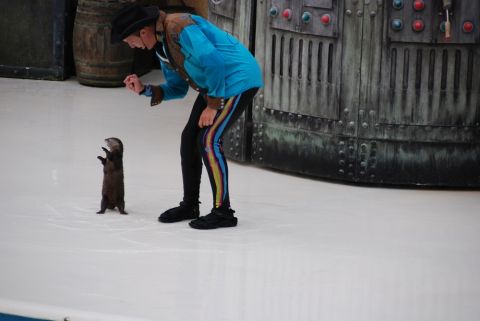 1996 Ford Bronco - A performer in a blue jacket and colorful leggings gestures to a small otter standing on an ice rink.