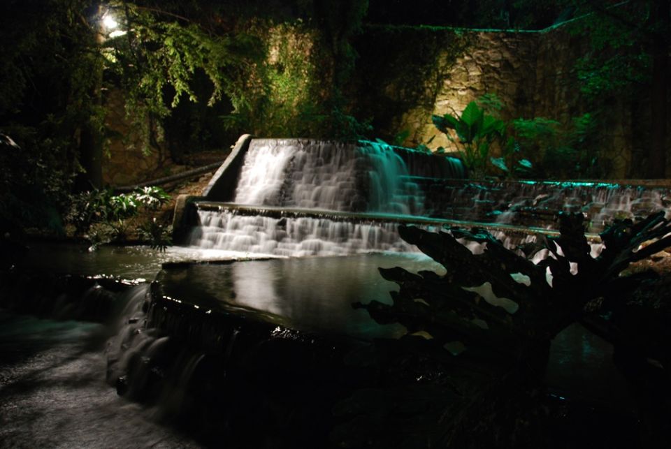 Waterfall illuminated at night with lush greenery and dark foreground
