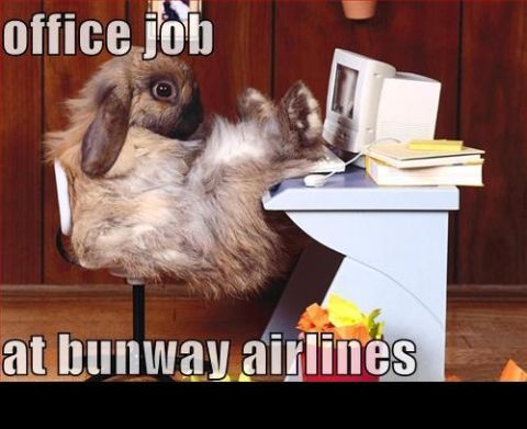 1988 Mercury Grand Marquis - Rabbit working at a desk with a computer and books, text says 'office job at bunway airlines'.