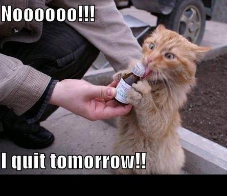 1988 Mercury Grand Marquis - A cat expresses its displeasure while being given medicine, with text overlays reading "Noooooo!!!" and "I quit tomorrow!!".