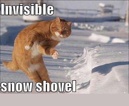 1988 Mercury Grand Marquis - An orange cat is captured mid-stride in a snowy landscape, with text overlay.