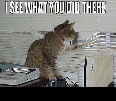 1988 Mercury Grand Marquis - A cat peers through window blinds, with text overlay reading 'I SEE WHAT YOU DID THERE'.