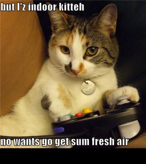 1988 Mercury Grand Marquis - Cat is playing video games indoors and does not want to go outside.