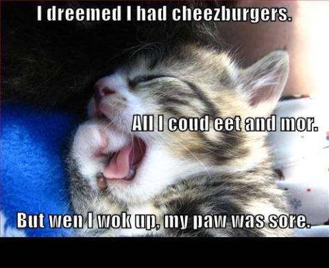 1988 Mercury Grand Marquis - A kitten dreams of food, only to wake up with a sore paw, accompanied by a meme.