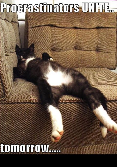 1988 Mercury Grand Marquis - A cat embodies procrastination by lounging on a couch, with text suggesting a delayed start to activities.