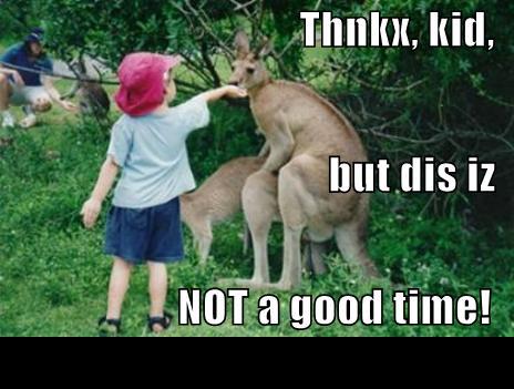 1988 Mercury Grand Marquis - A child is interacting with kangaroos, with text overlaying the image.