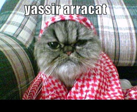 1988 Mercury Grand Marquis - A grumpy-looking cat is dressed in a traditional keffiyeh, with text overlayed on the image.
