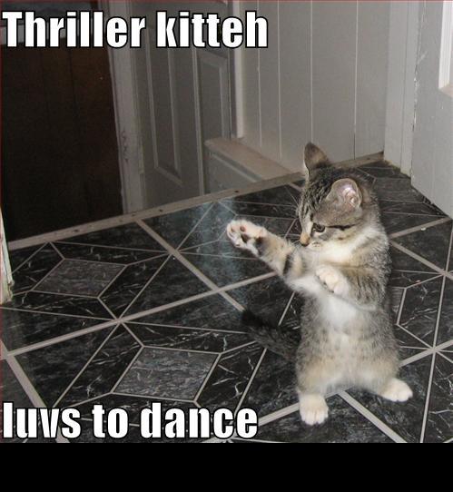 Kitten standing on hind legs with front paws raised, text overlay 'Thriller kitteh'