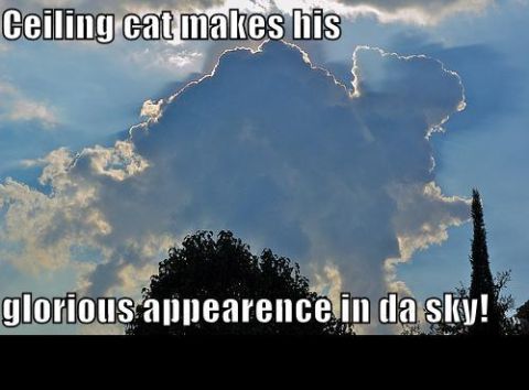 1988 Mercury Grand Marquis - Clouds form a cat-like shape in the sky above trees, with overlaid text.