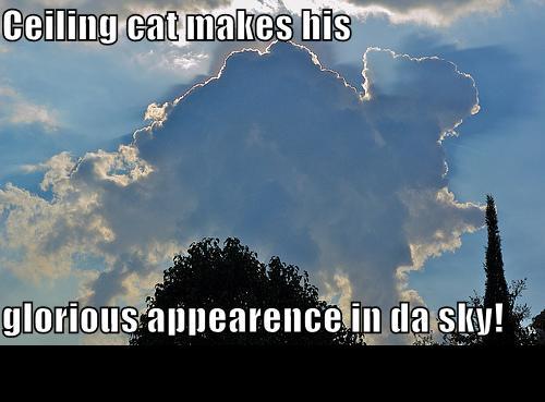 Sky with clouds shaped like a cat, trees below, and text 'Ceiling cat makes his glorious appearence in da sky!'
