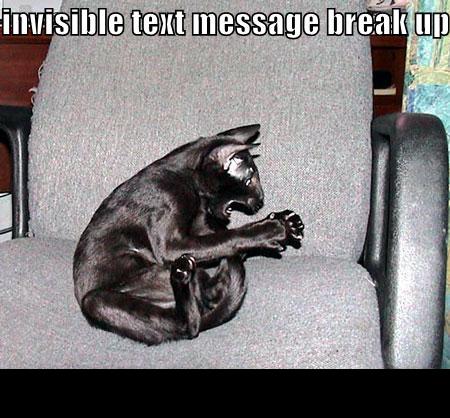 1988 Mercury Grand Marquis - A black cat appears distressed while sitting on a chair, with a humorous text overlay about a breakup.