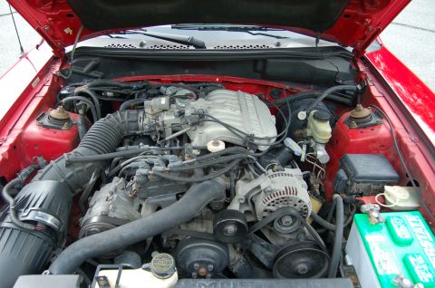 2001 Ford Crown Victoria - The engine bay of a red car is shown, with the hood open, revealing the V8 engine components.